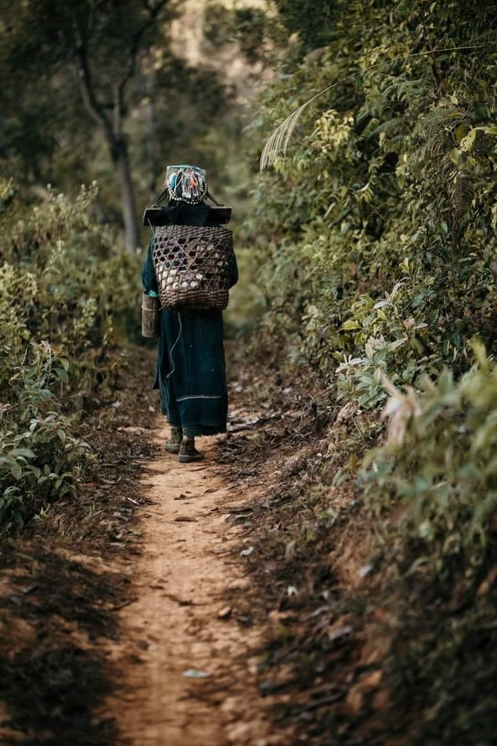 10 Days Northern Luang Prabang Trekking Loop